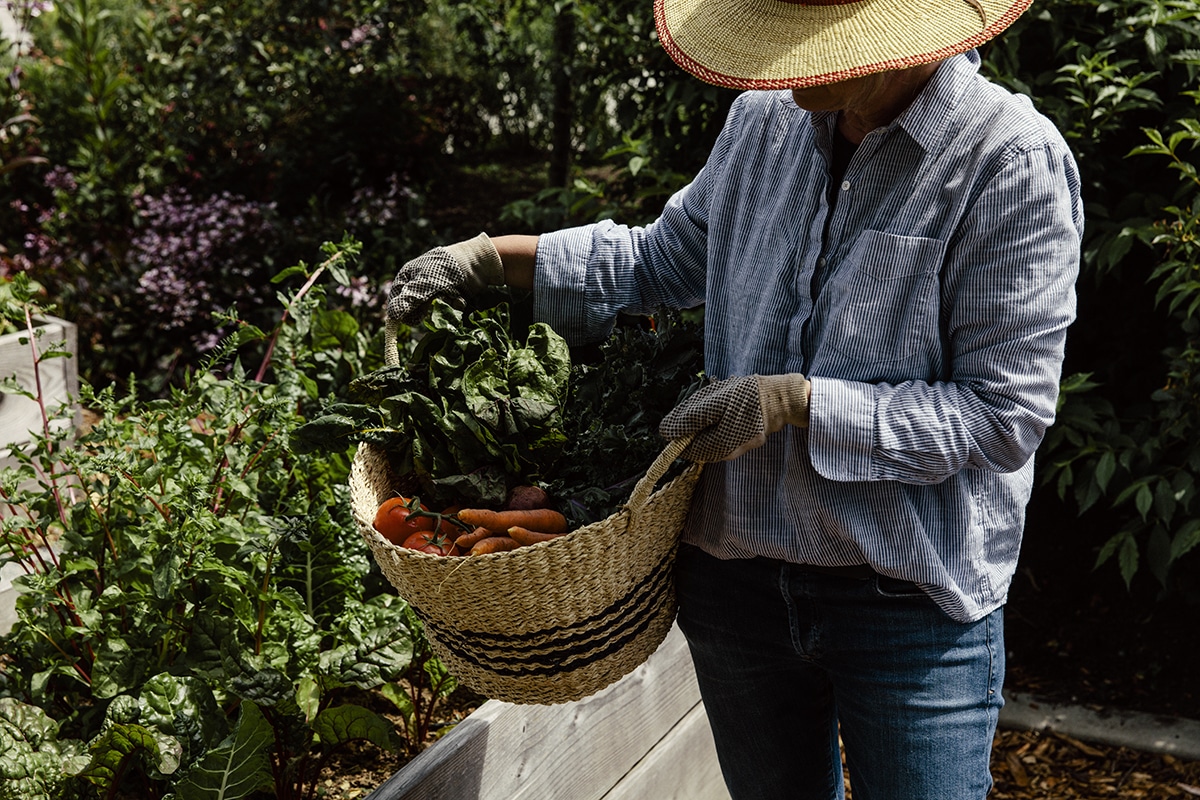 Southlands Allotment Gardens
